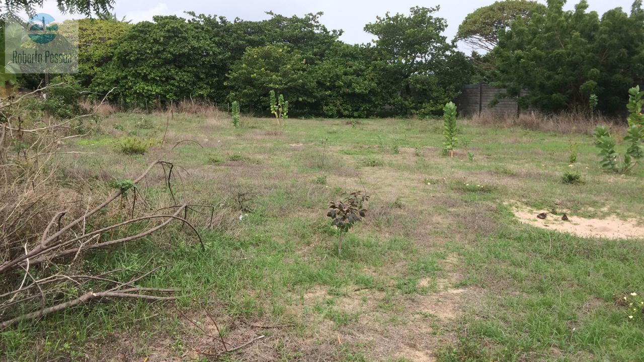 rea do terreno