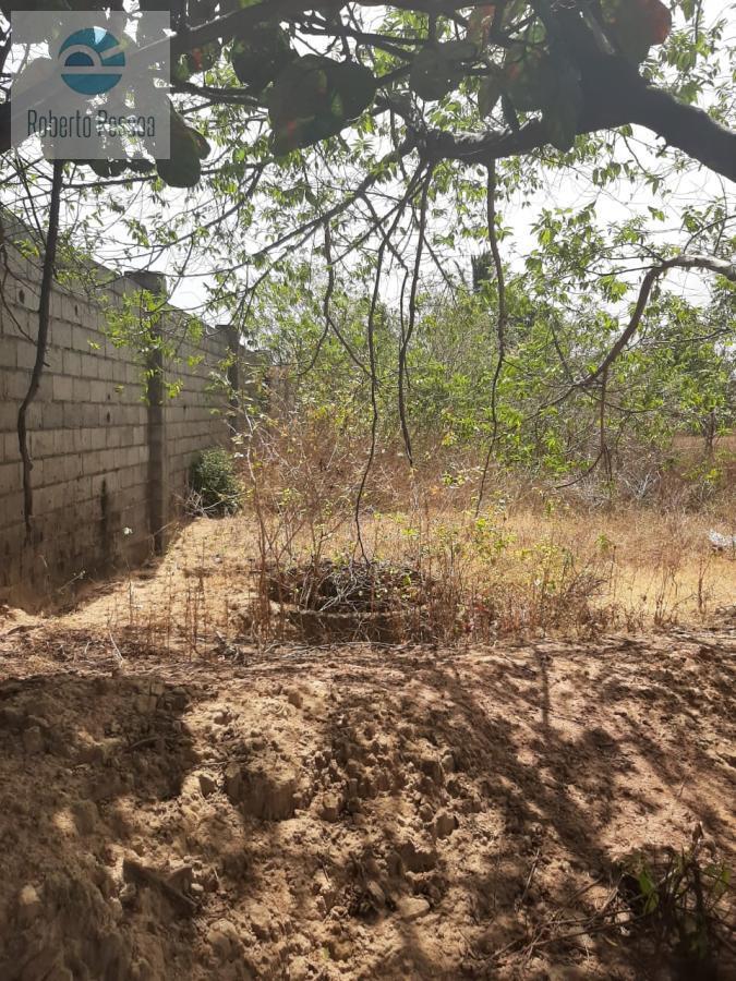 fundo do terreno